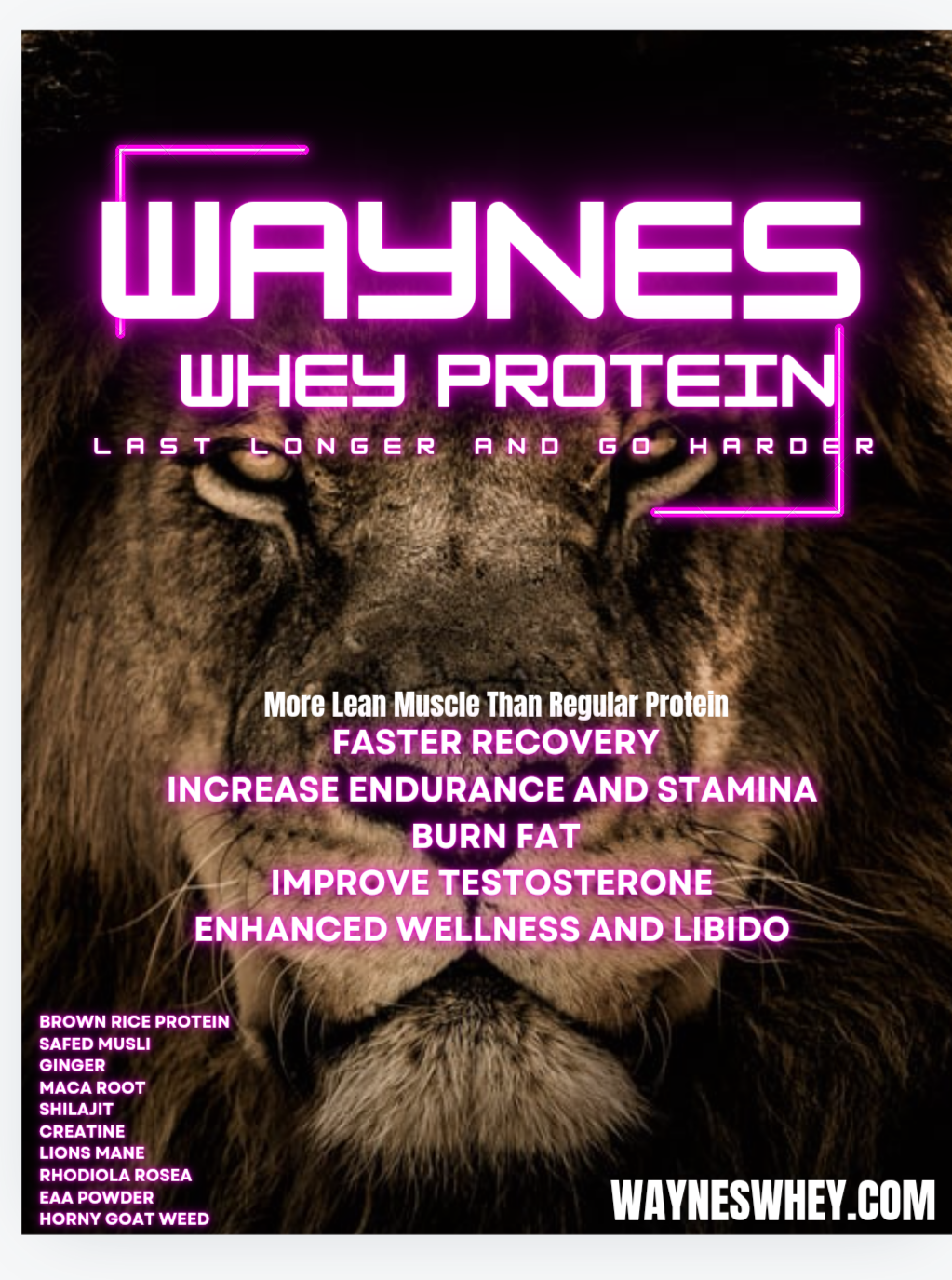 Wayne's Whey Protein 18pk 14g Protein Each Serving