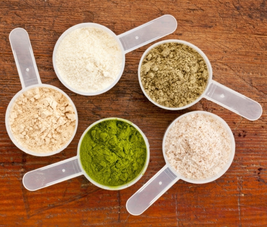 Wayne's Whey Protein 20pk 20g Protein Each Serving (may contain nuts)