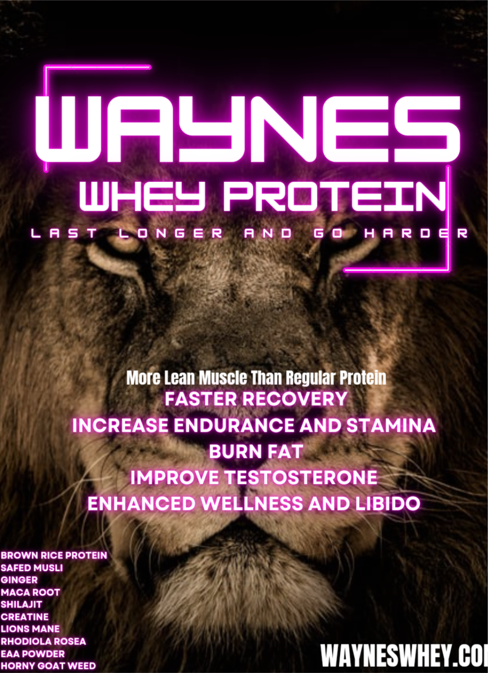 Wayne's Whey Protein 22pk 22g Protein Each Serving