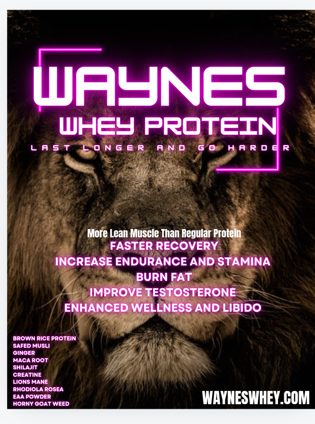 Wayne's Whey Protein 22pk 22g Protein Each Serving